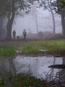 A lady and a girl walk in the misty winter woods