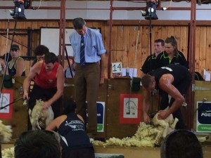 Shearing test - Wales v NZ
