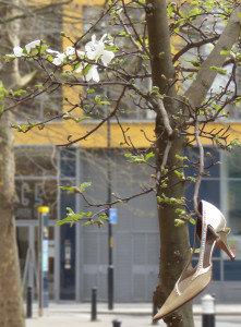 A street scene behind a magnolia tree in blossom and partial leaf with a gold high heeled shoe hanging from it - shoe on right
