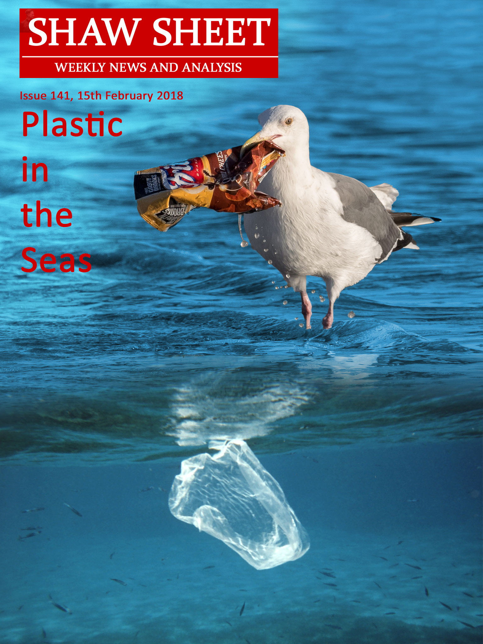 141 Cover Image Plastic in the Seas seagull and plastic bag in ocean