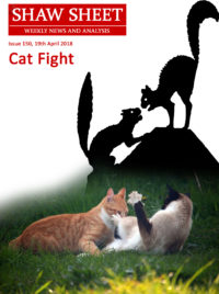 Cover Page Cat Fight Issue 150