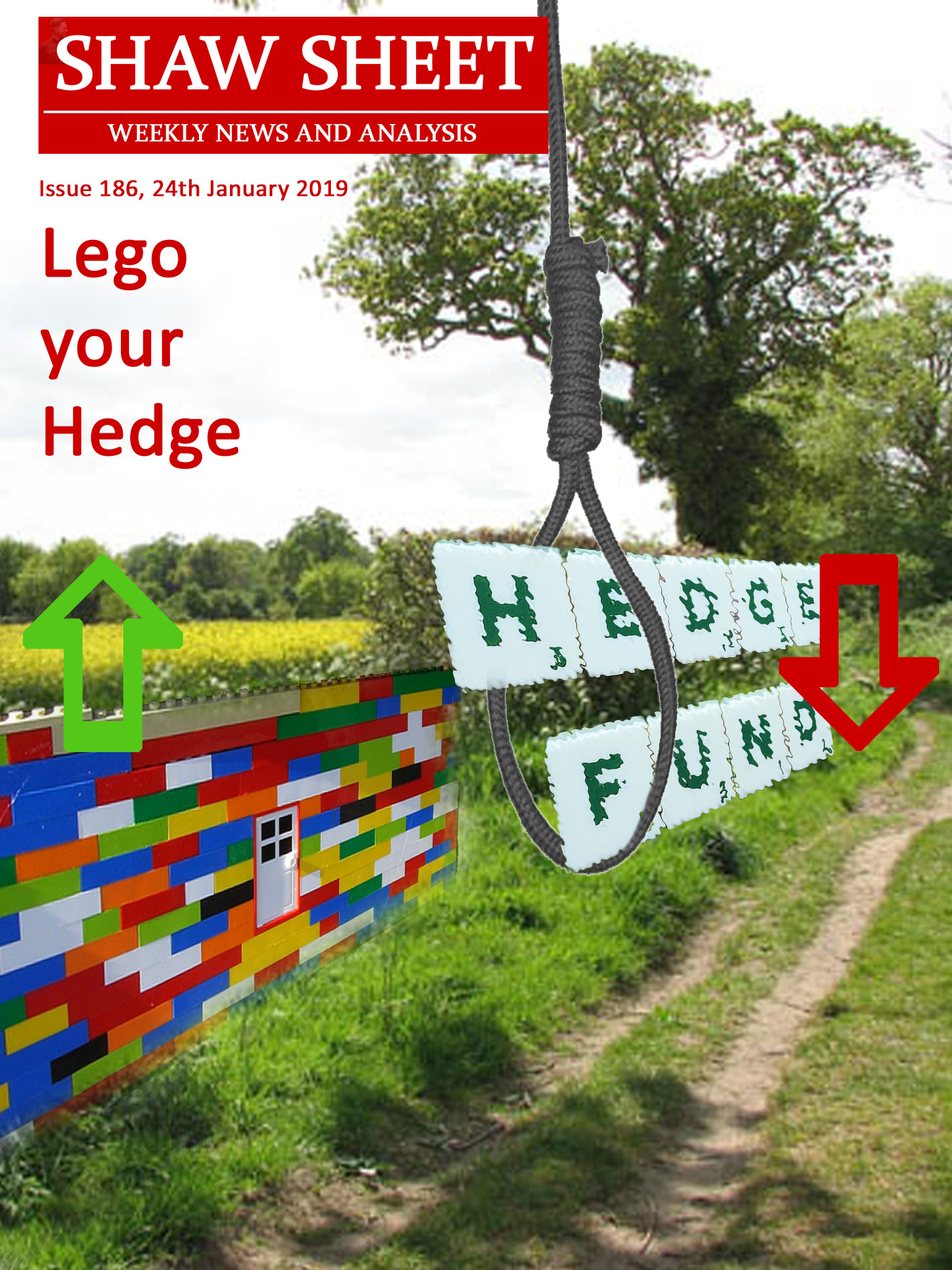 Cover Page 186 Lego your Hedge