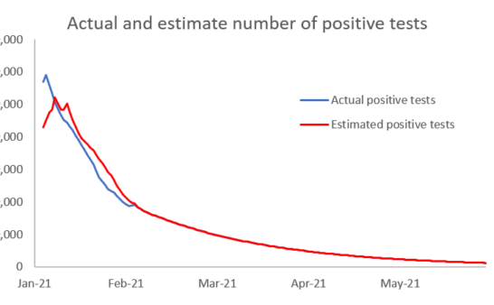 Issue 266: 2021 02 11: What’s next? Decline in infections