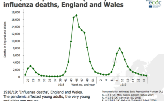 Issue 265: 2021 02 04: The Spanish Flu A Comparison